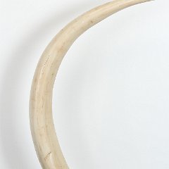 SOLD Large Faux Elephant Tusk